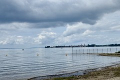 IMG_5953