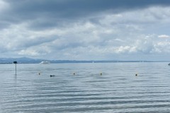 IMG_5954