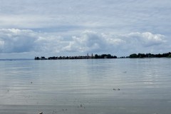 IMG_5955