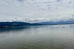 IMG_5958