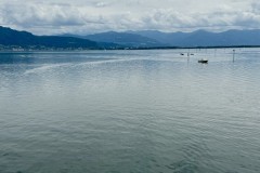 IMG_5959