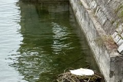 IMG_5961