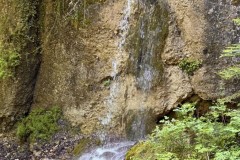 IMG_1332