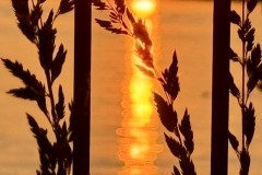 IMG_1341