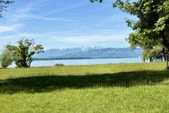 IMG_5992