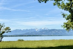 IMG_5993