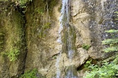 IMG_6005