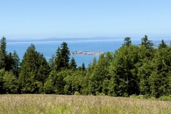 IMG_6013