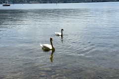 IMG_6119