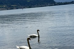 IMG_6120