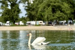 IMG_6183
