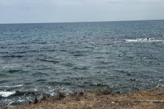 IMG_0889