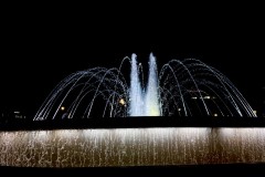 IMG_0905