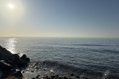 IMG_0932