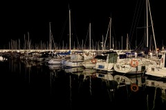 IMG_0955