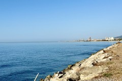 IMG_0967
