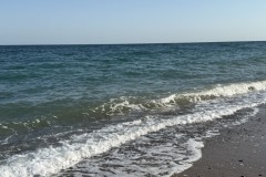IMG_1005