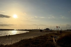 IMG_1123