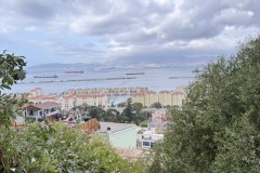 IMG_1554