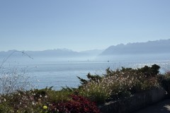IMG_1757