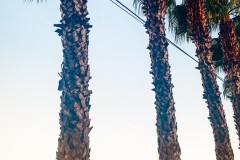 IMG_0119