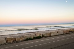 IMG_2223_jpg