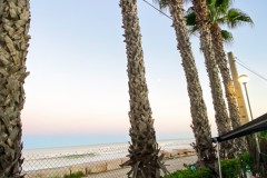 IMG_2228_jpg