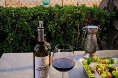 IMG_2229_jpg