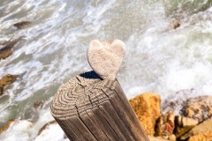 1_FullSizeRender