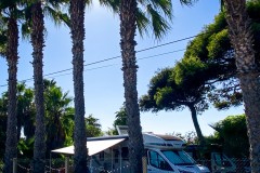 IMG_2304_jpg