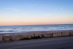 IMG_2329_jpg