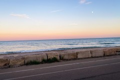IMG_2330_jpg