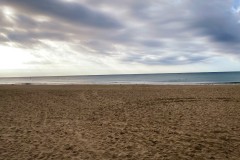 IMG_2165_jpg