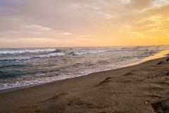 IMG_2167_jpg