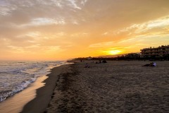 IMG_2169_jpg