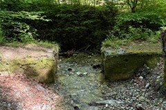 IMG_5702