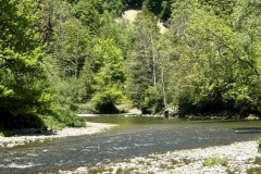 IMG_5720