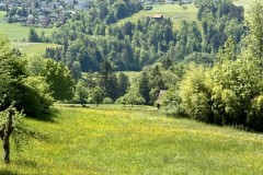 IMG_5727