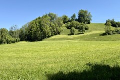 IMG_5779
