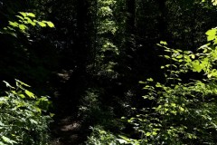 IMG_5791