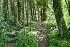 IMG_5792