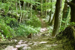 IMG_5795