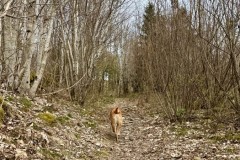 IMG_9457