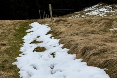IMG_9466