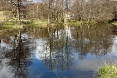 IMG_9492