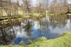 IMG_9493