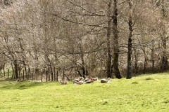 IMG_9502