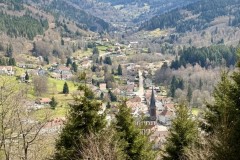 IMG_9507