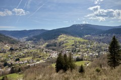 IMG_9512