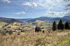 IMG_9513